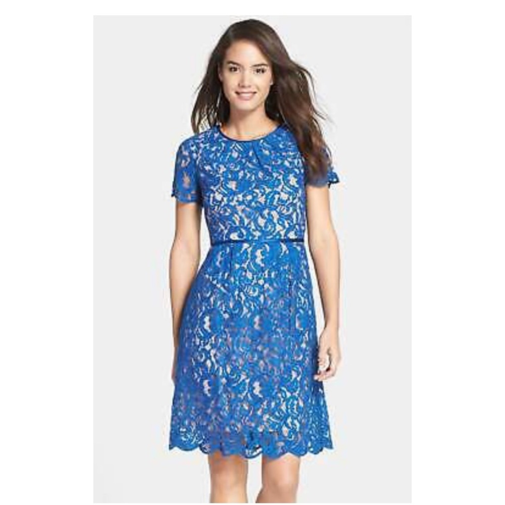 Blue Scalloped Lace Dress
